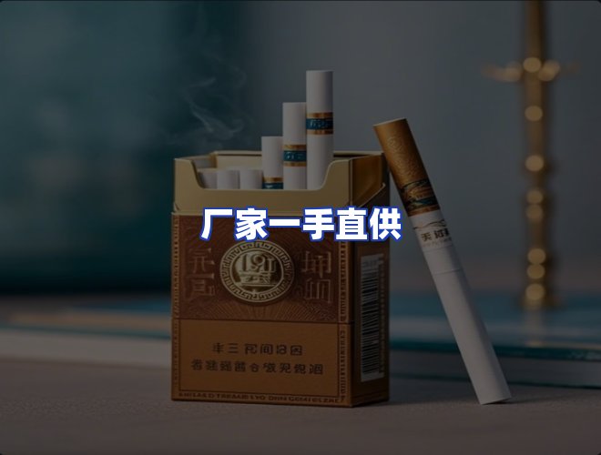 专业团队